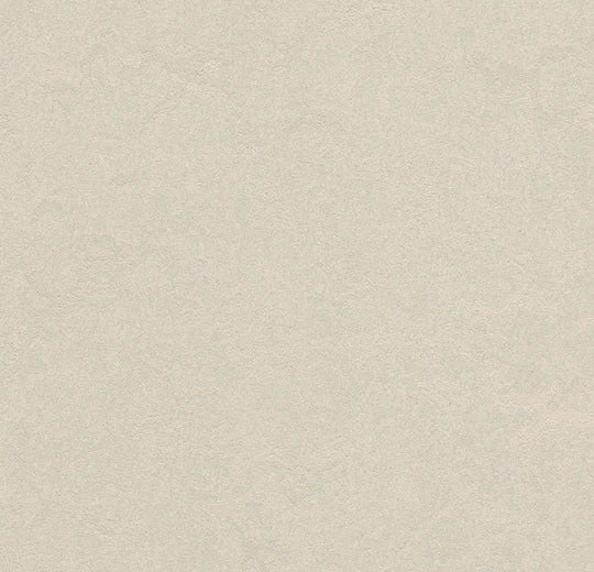 Marmoleum-- CinchLOC Edelweiss