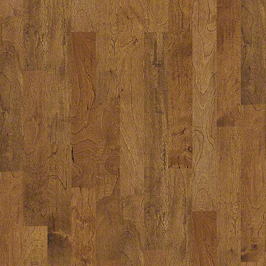 Classics Collection - Casitablanca 5