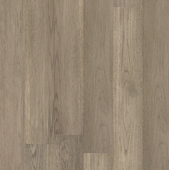 Latitudes 6.5 Collection Prestige Cove