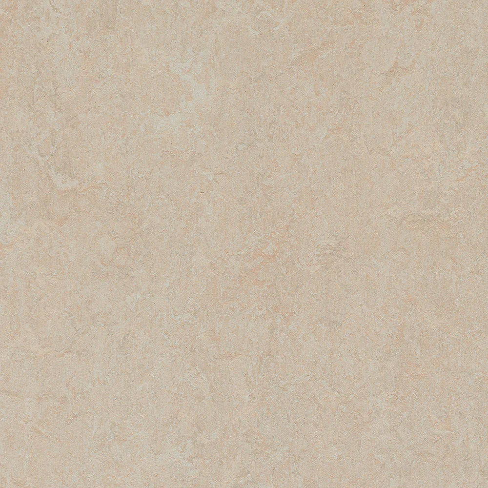 Marmoleum-- CinchLOC Silver Birch