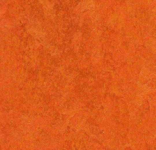 Marmoleum-- Real Kyoto