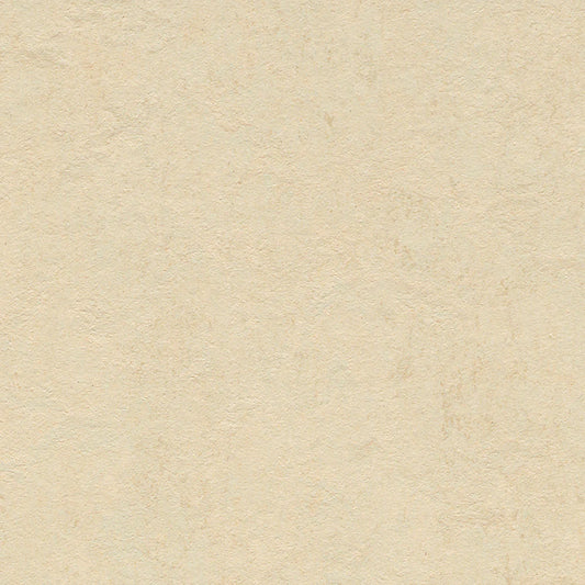 Marmoleum-- CinchLOC Barbados