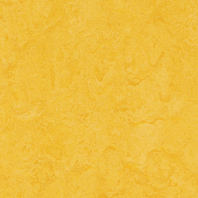 Marmoleum-- CinchLOC Lemon Zest