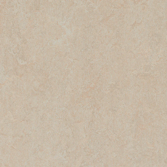 Marmoleum-- Fresco Silver Birch